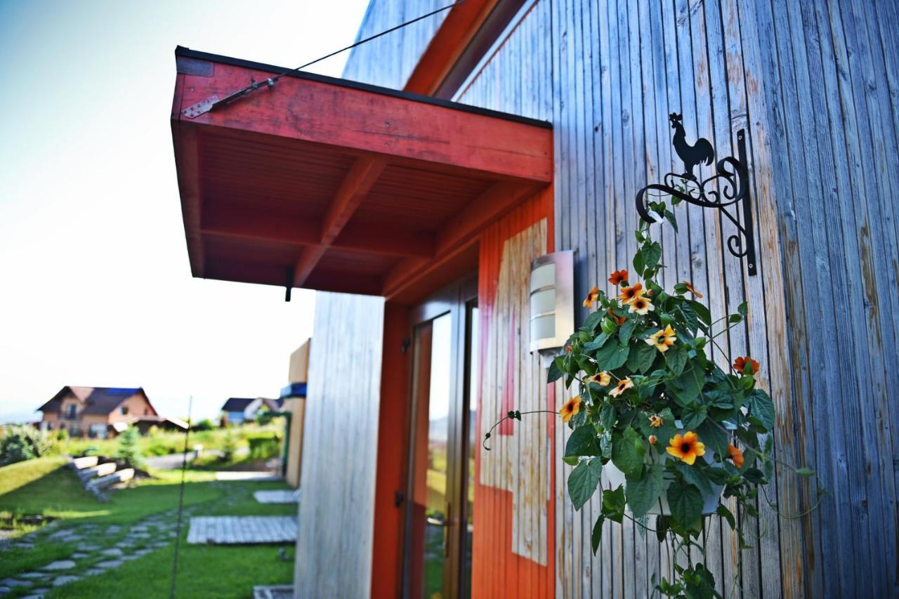 Horizont Panzio Bed and Breakfast Odorheiu Secuiesc Exteriör bild